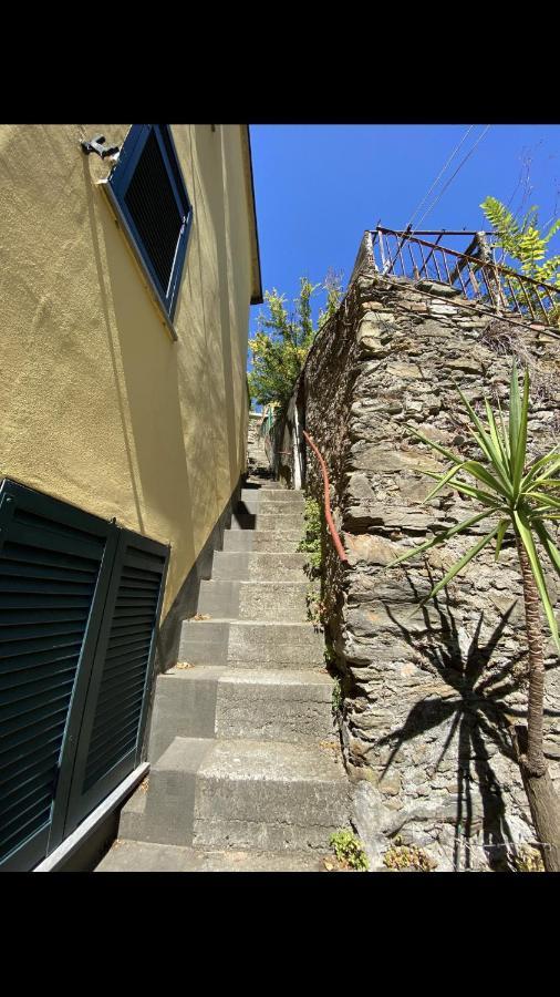 Apartmán Le Case Diamar Riomaggiore Exteriér fotografie